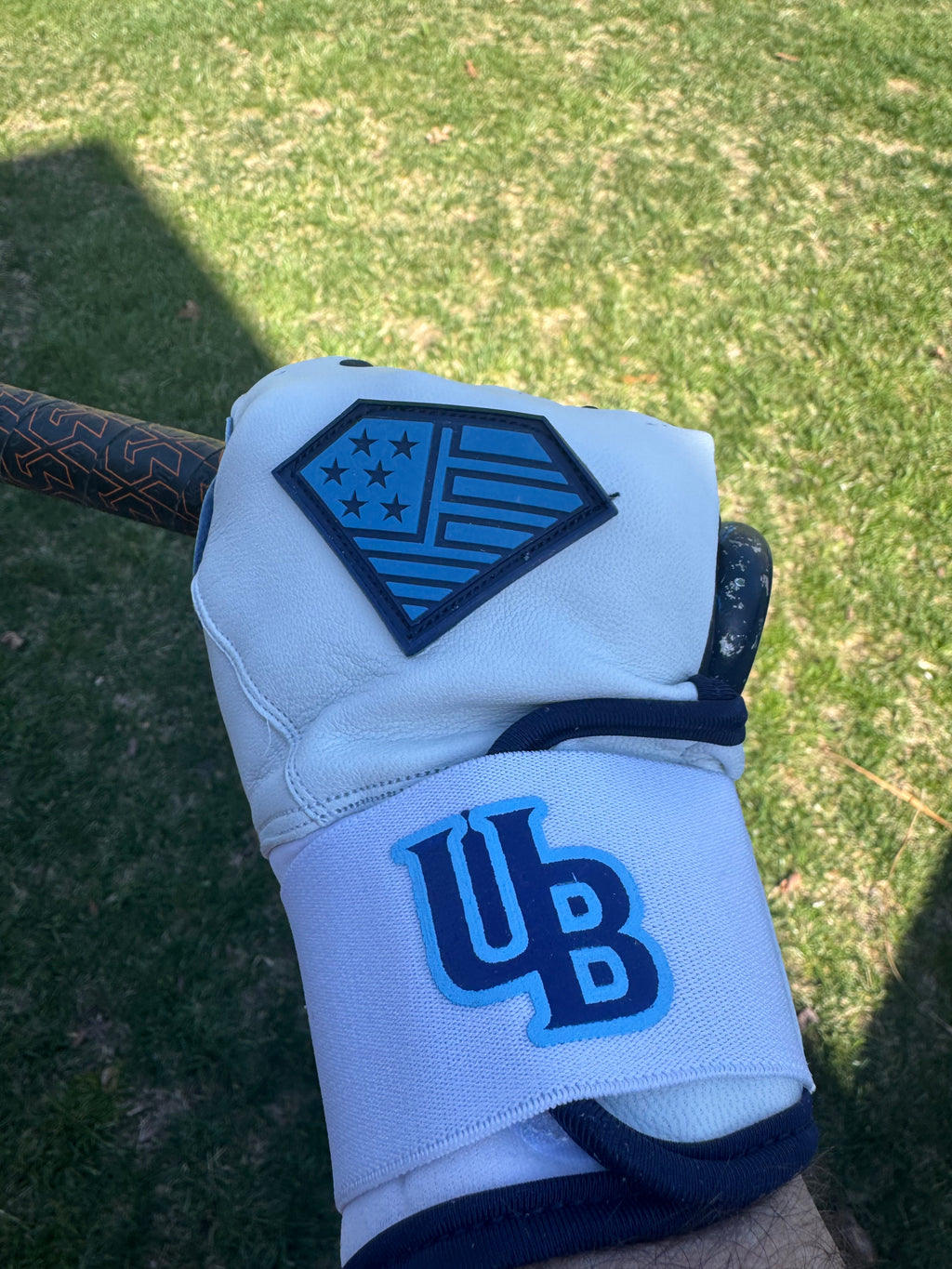 UB The Surge