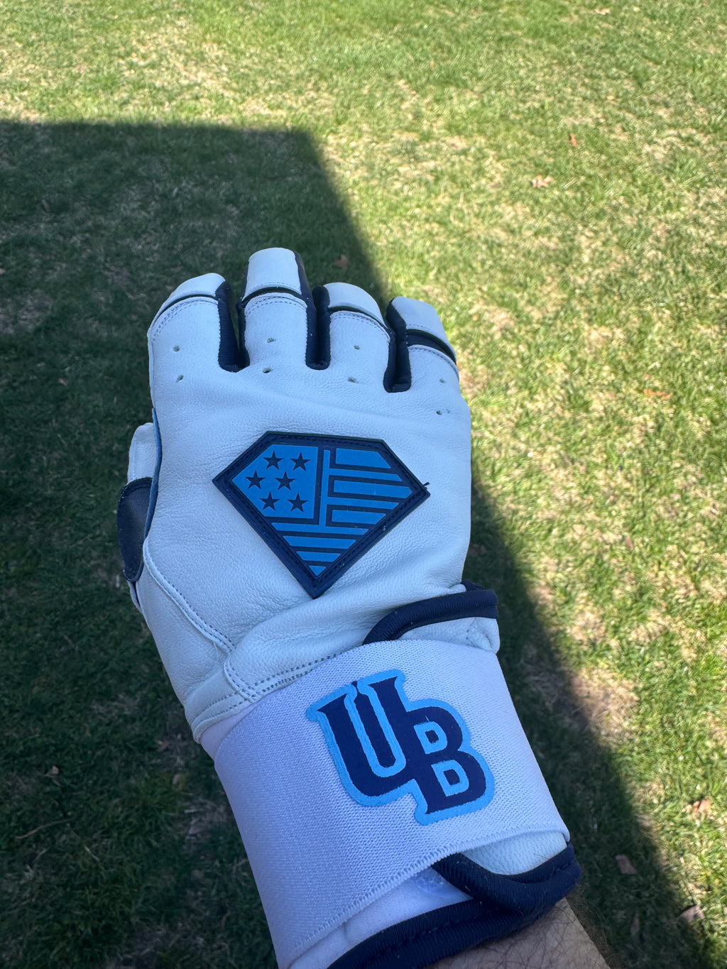 UB The Surge