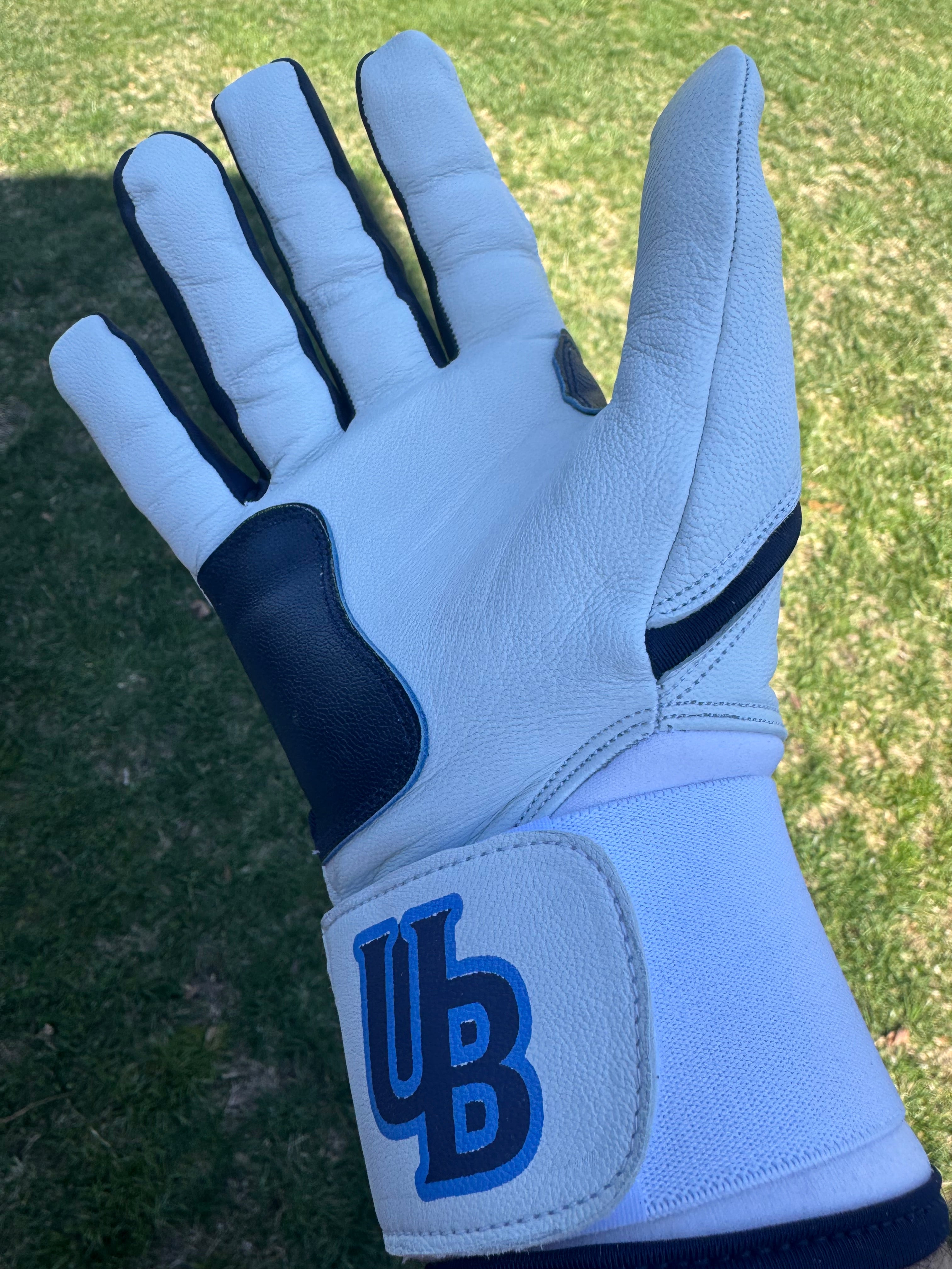 UB The Surge